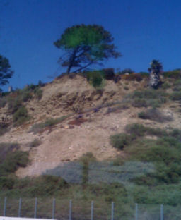 View from train-hill side